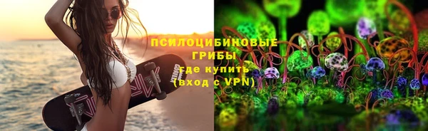 дмт Аркадак