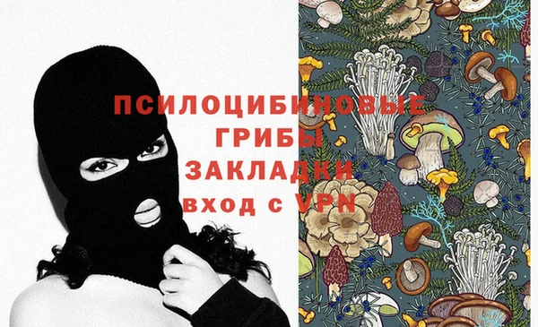 дмт Аркадак