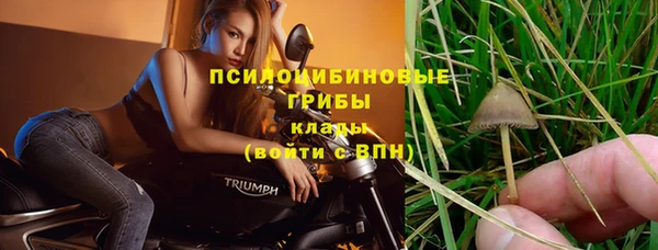 дмт Аркадак
