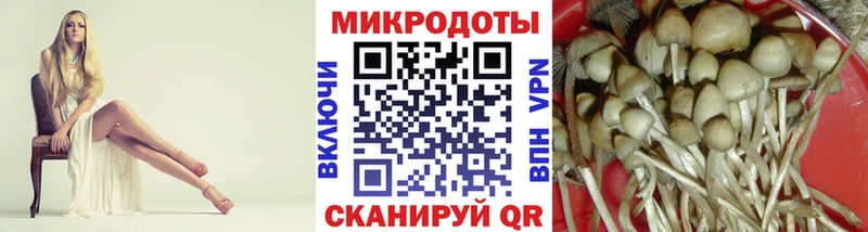 Псилоцибиновые грибы GOLDEN TEACHER  Озёрск 